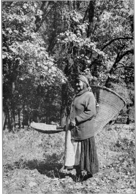 Ta-bu-ce (Maggie Howard) gathering acorns during Autumn