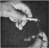 Arrow point was attached to shaft by use of sinew