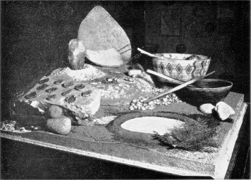 Indian acorn-food