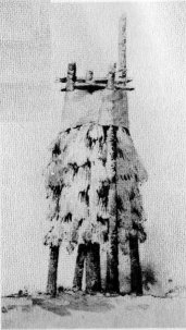 AN INDIAN CHUCK'-AH. Storehouse for nuts and acorns, thatched with pine branches to keep out rodents