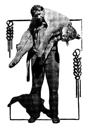 Jay Bruce, Official Lion Hunter of California