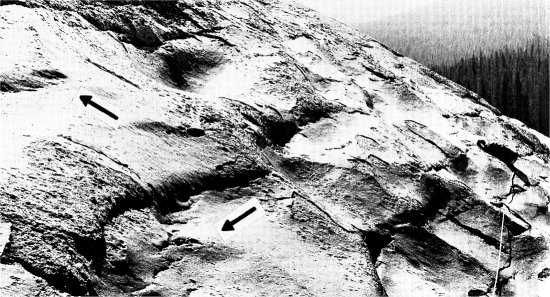 Figure 2. A scalloped surface on the west flank of Pothole Dome