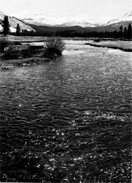 Tuolumne Meadows