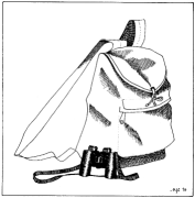 daypack and binoculars