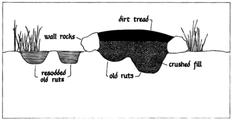 Trail restoration cross section