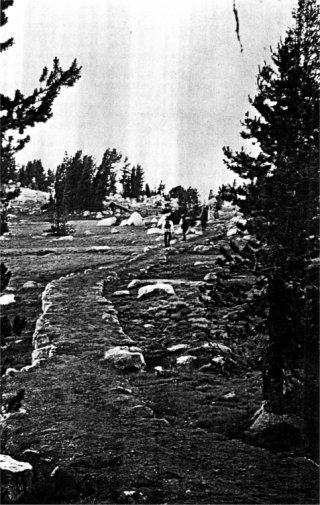 Tuolumne Pass trail, after restoration