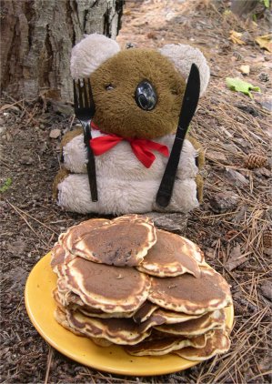 Bear eating pancakges (recreated scene)