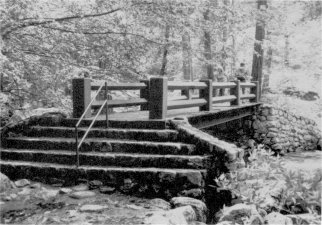 Illustration 141. Happy Isles Bridge. Photo by Linda W. Greene, 1985