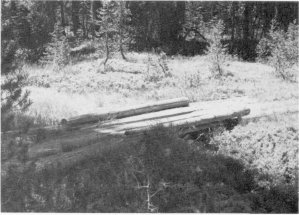 Illustration 164. Single stringer log and plank foot/horse bridge on trail between Chain Lakes and Chiquito Pass. Photo by Robert C. Pavlik, 1985