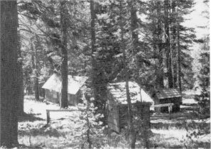 Illustration 170. Buck Camp cabin, tack and equipment storage shed (rt.), and privy. Photo by Robert C. Pavlik, 1985