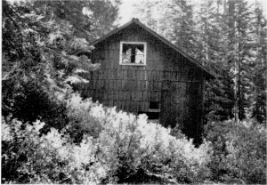 Illustration 178. Chinquapin barn, to south. Photo by Robert C. Pavlik, 1984