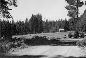 Illustration 20. Hazel Green ranch on old Coulterville Road (private property outside park boundary), to west. Photo by Robert C. Pavlik, 1984