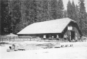 Illustration 201. Wawona barn. Photo by Robert C. Pavlik, 1984