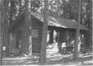 Illustration 215. Frog Creek cabin. Photo by Robert C. Pavlik, 1984