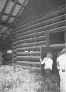 Illustration 23. Barn, McCauley ranch. Photo by Gary Higgins, 1984