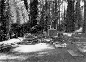 Illustration 231. Remains of Big Trees Lodge in Mariposa Grove. Photo by Robert C. Pavlik, 1984