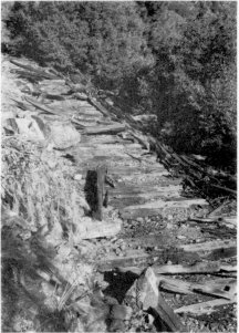 Illustration 238. Railroad ties at top of north side incline of Yosemite Lumber Company. Photo by Robert C. Pavlik, 1984