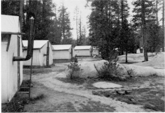 Illustration 241. Tent cabins at White Wolf Lodge. Photo by Gary Higgins, 1984