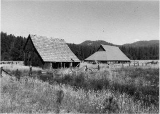 Illustration 25. Meyer saltbox and crib barns, Big Meadow. Photo by Gary Higgins, 1984