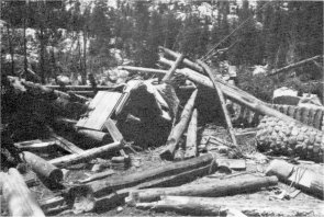 Illustration 258. Ruins of Lake Wilmer snow survey/patrol cabin. Destroyed by avalanche in winter of 1985-86. Photo by Paul Cloyd, 1986