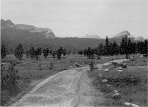 Illustration 39. Old Tioga Road through Tuolumne Meadows. Photo by Robert C. Pavlik, 1984, 1985