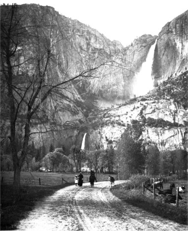 Illustration 49. Yosemite Valley floor, ca. 1900. Postcards published by Flying Spur Press, Yosemite, California