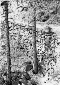 Illustration 5. Rock wall cribbing and old roadbed of Coulterville Road (on USFS land), view to east. Photo by Robert C. Pavlik, 1984