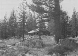 Illustration 54. McCauley cabin, Tuolumne Meadows. Photo by Robert C. Pavlik, 1984