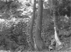 Illustration 6. Rock retaining wall and drain, old Big Oak Flat Road. Photo by Robert C. Pavlik, 1985