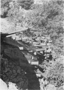 Illustration 62. Collapsed trestle at top of north side incline, Yosemite Lumber Company. Photo by Robert C. Pavlik, 1984 