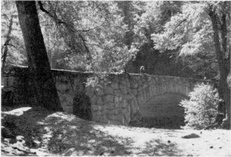 Illustration 69. Happy Isles Bridge, built 1929. Note tunnel for bridle path Photo by Linda W. Greene, 1984.
