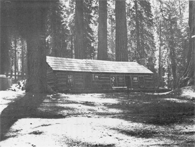 Illustration 85. Old log cabin at Mariposa Grove. Photographer and date unknown