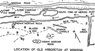 Location of Old Arboretum at Wawona