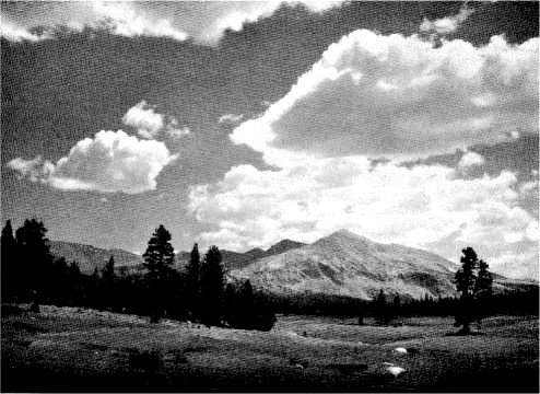 Dana Meadows on the Tioga Road, where you will find “The four far corners of space, wind on the mouth, clouds in the face”. By Ansel Adams