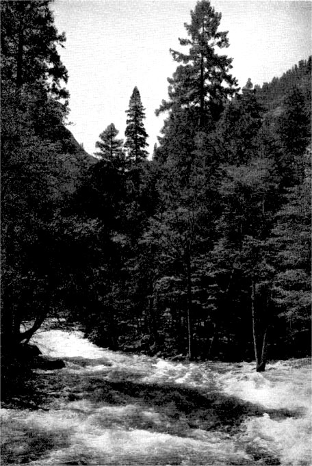 Happy Isles, where the waters of the Merced River and Illilouette Creek rush together in perpetual song. By Ansel Adams. By Ansel Adams