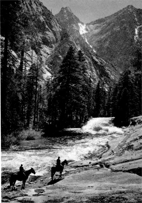 In the Tuolumne Canyon through fir forests, beside rushing waters, trails lead from one High Sierra camp to another. By Ansel Adams