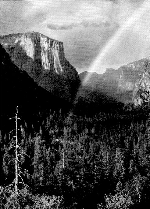 After the storm Yosemite Valley emerges in its rarest mood, flooded with lights and shadows and fleeting fragments of rainbows. By Ansel Adams