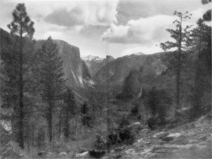 THE YOSEMITE VALLEY