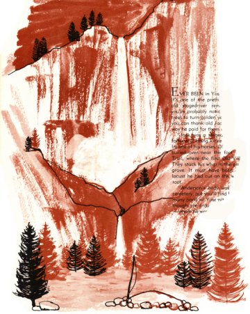 Locust Tree in Yosemite Valley