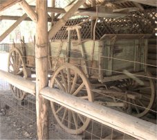 Freight Wagon